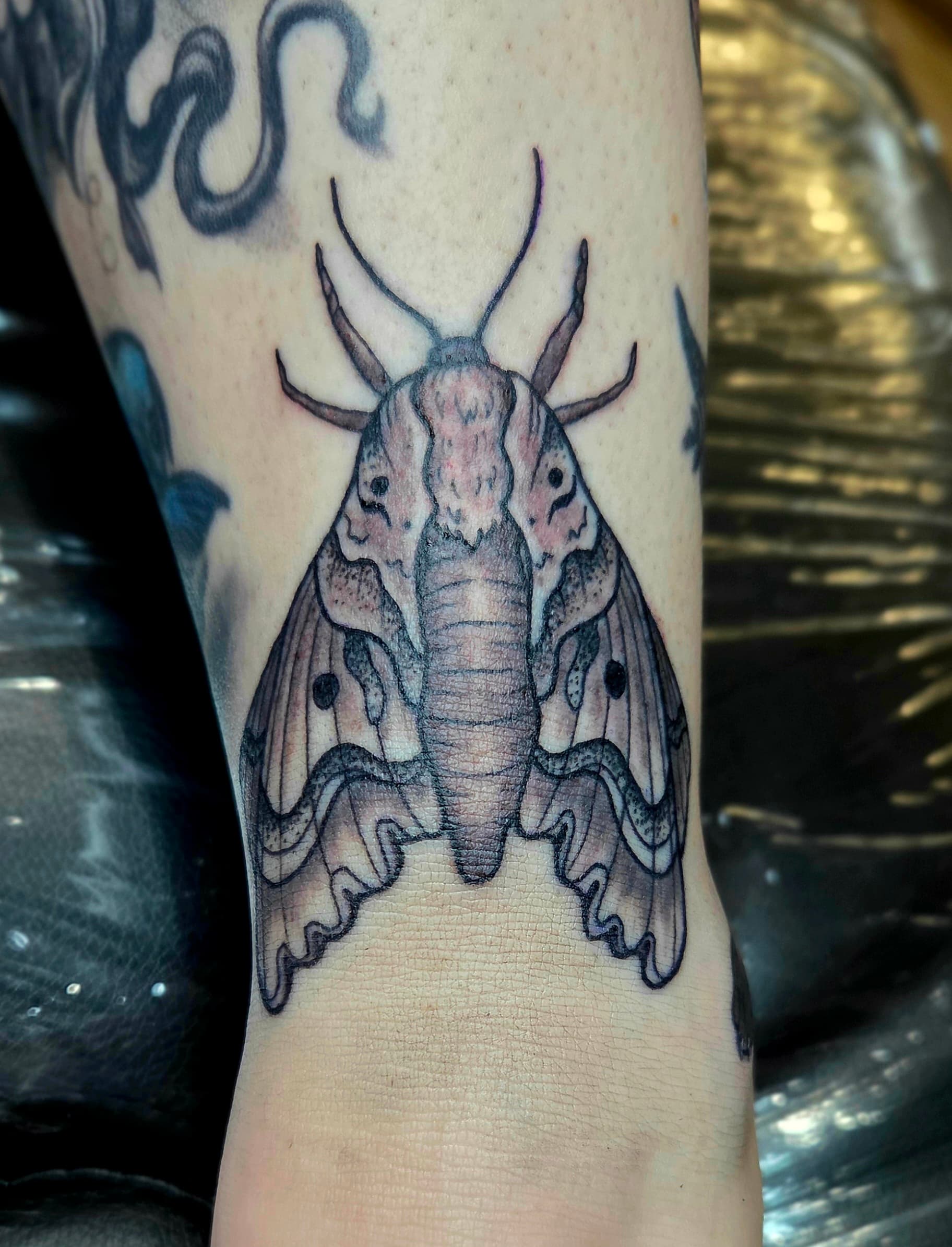 Neo-Traditional & Traditional tattoo by D Christi