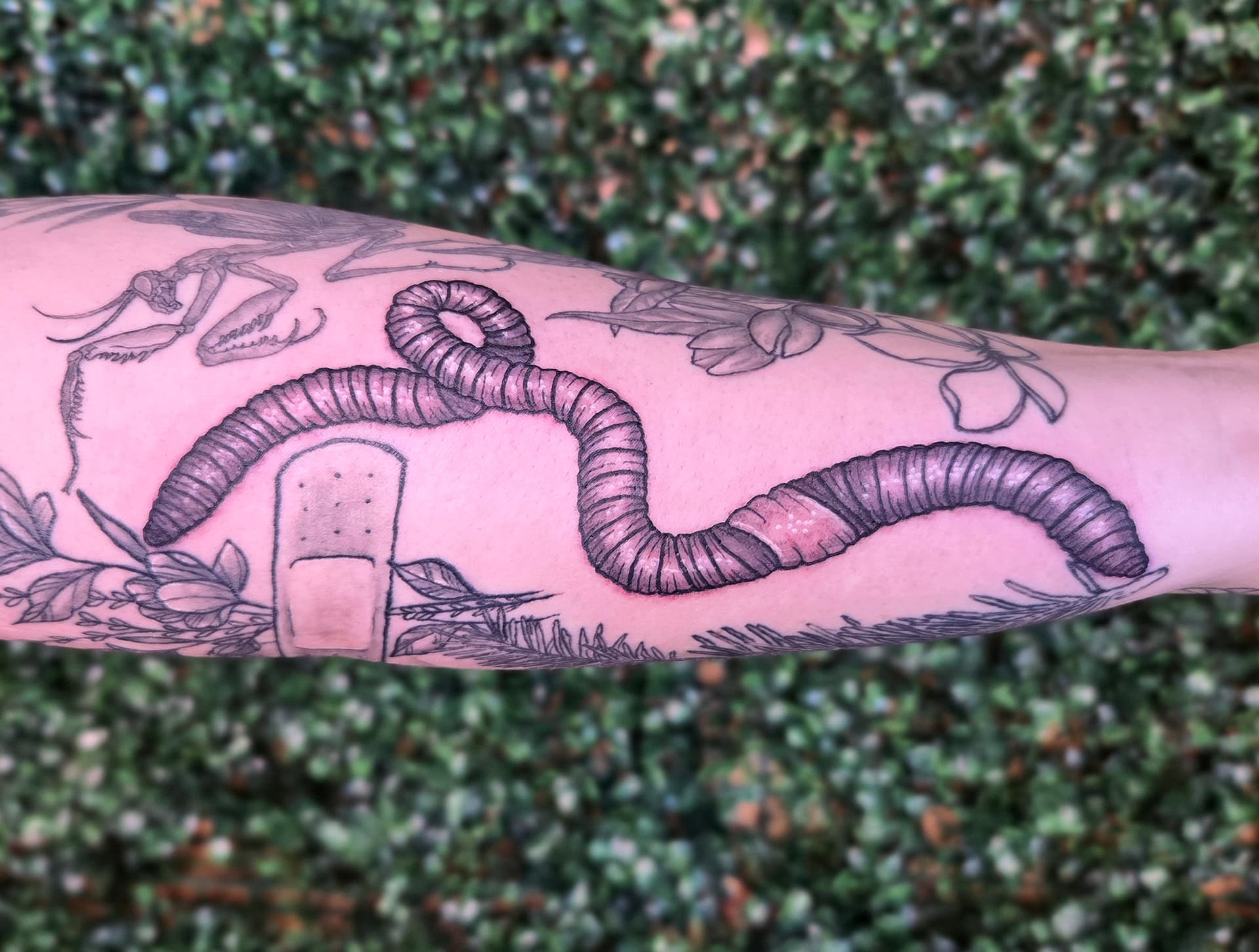 Neo-Traditional & Traditional tattoo by D Christi