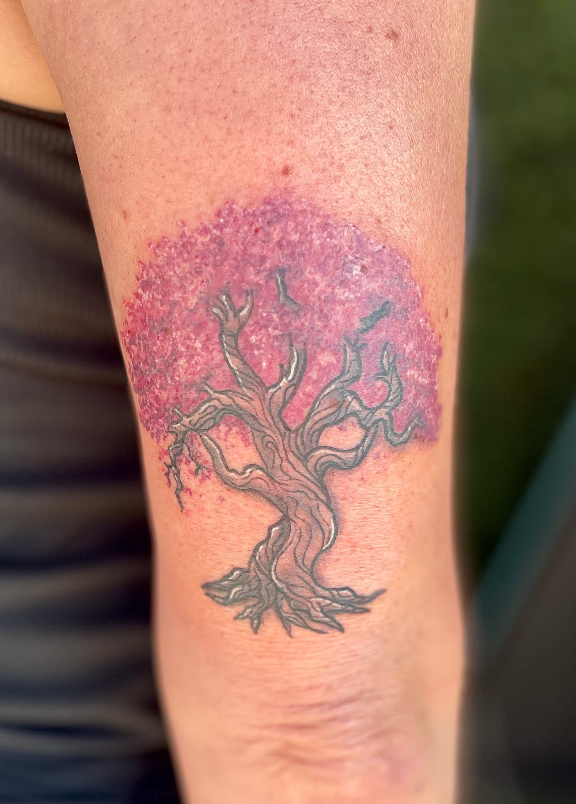 Neo-Traditional & Traditional tattoo by D Christi