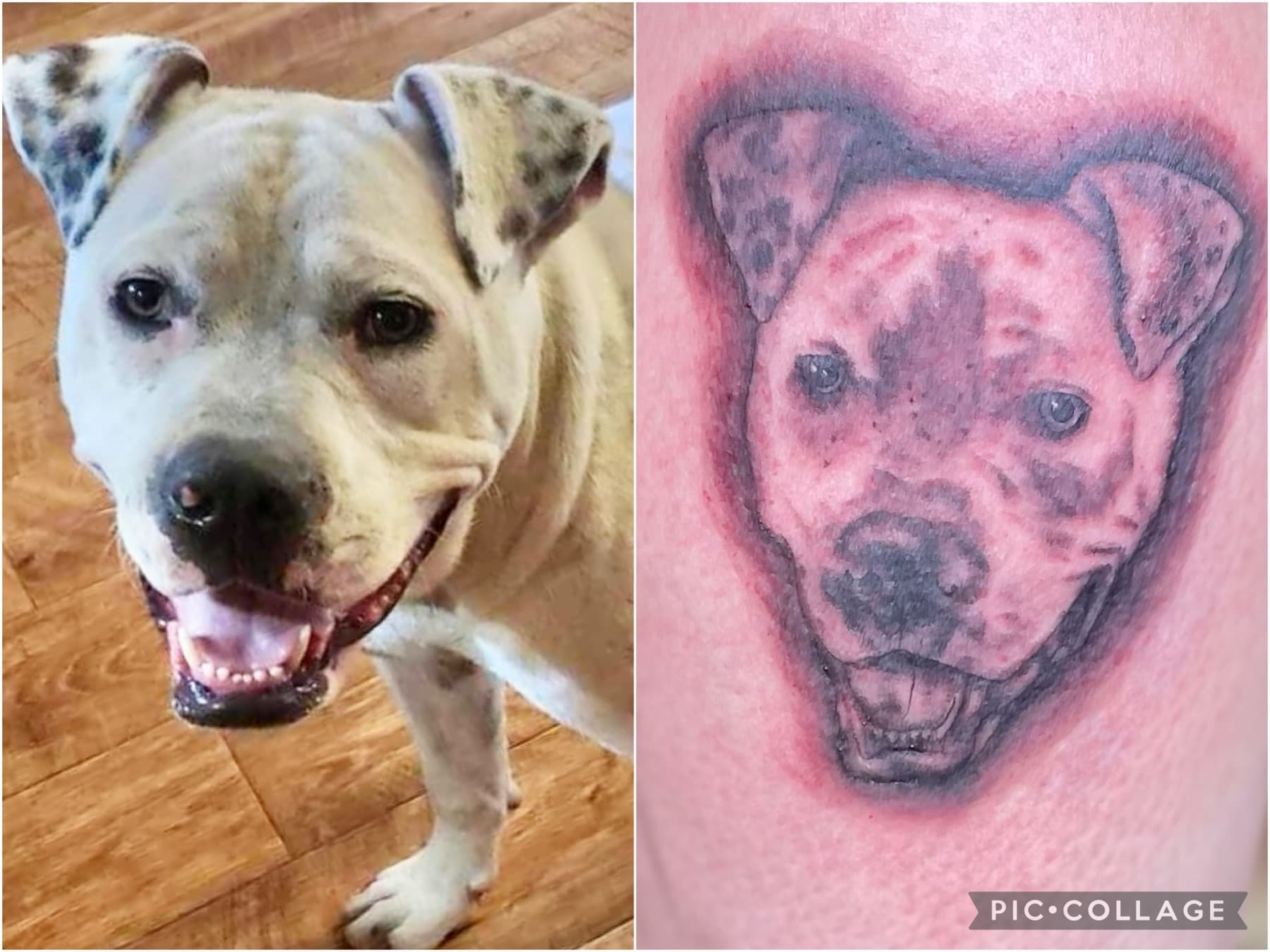 Portraits & Realism tattoo by D Christi