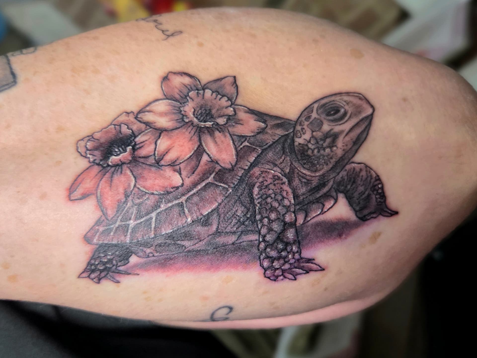 Portraits & Realism tattoo by D Christi